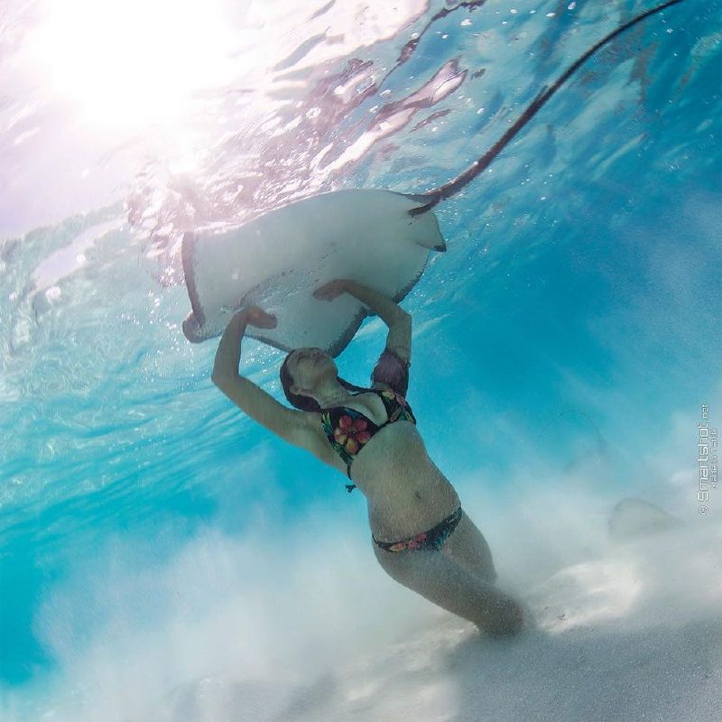 Rava Ray is a sexy model who currently live in Hawaii and she loves to work underwater. Rava has been featured in some of the sexiest underwater photos on the internet, and she’s earned herself ...