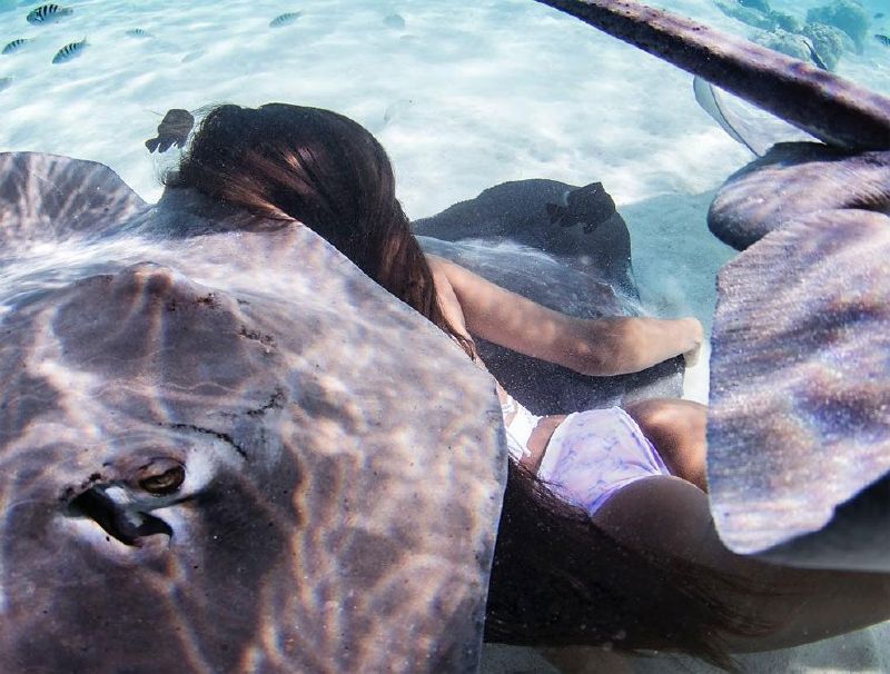 Rava Ray is a sexy model who currently live in Hawaii and she loves to work underwater. Rava has been featured in some of the sexiest underwater photos on the internet, and she’s earned herself ...