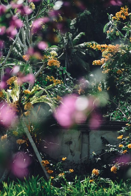 Even when you are living your dream job, you get tired when the pressure is too much. Well I didn’t say that I am not happy with what I am doing, but I have some things that I choose not to post ...