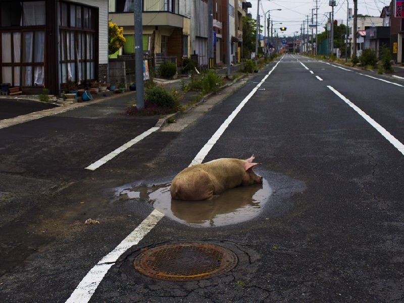 Today's Fukushima Exclusion Zone Is A Glimpse Into What A Post-Apocalyptic World Would Really Look Like