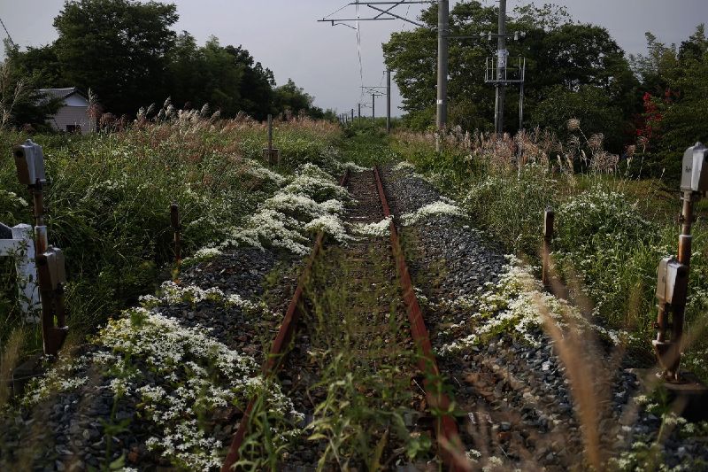 Today's Fukushima Exclusion Zone Is A Glimpse Into What A Post-Apocalyptic World Would Really Look Like