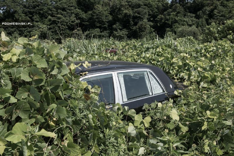 Today's Fukushima Exclusion Zone Is A Glimpse Into What A Post-Apocalyptic World Would Really Look Like