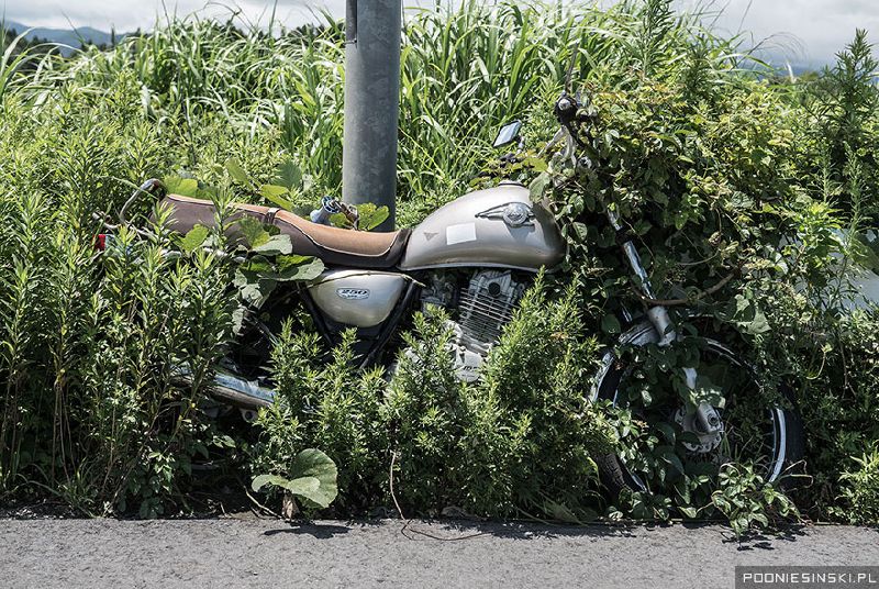 Today's Fukushima Exclusion Zone Is A Glimpse Into What A Post-Apocalyptic World Would Really Look Like