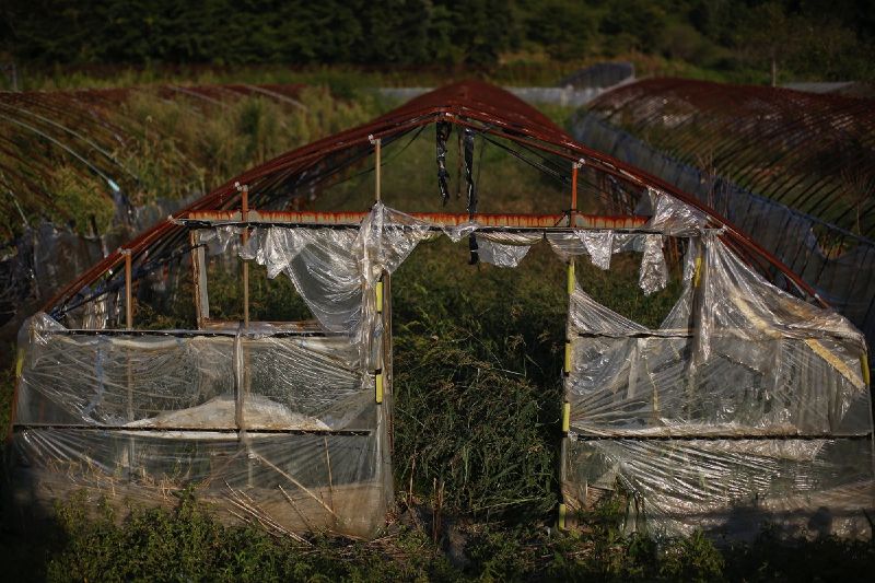 Today's Fukushima Exclusion Zone Is A Glimpse Into What A Post-Apocalyptic World Would Really Look Like