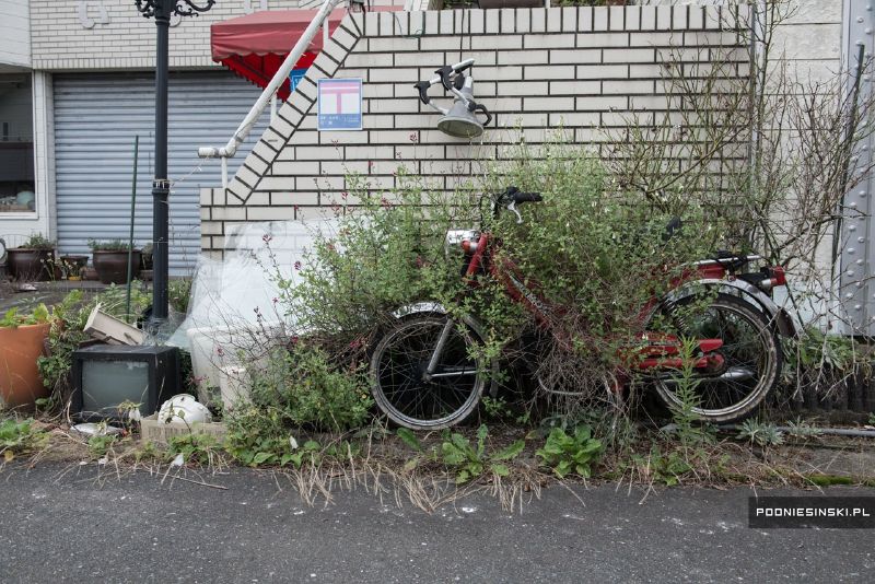 Today's Fukushima Exclusion Zone Is A Glimpse Into What A Post-Apocalyptic World Would Really Look Like