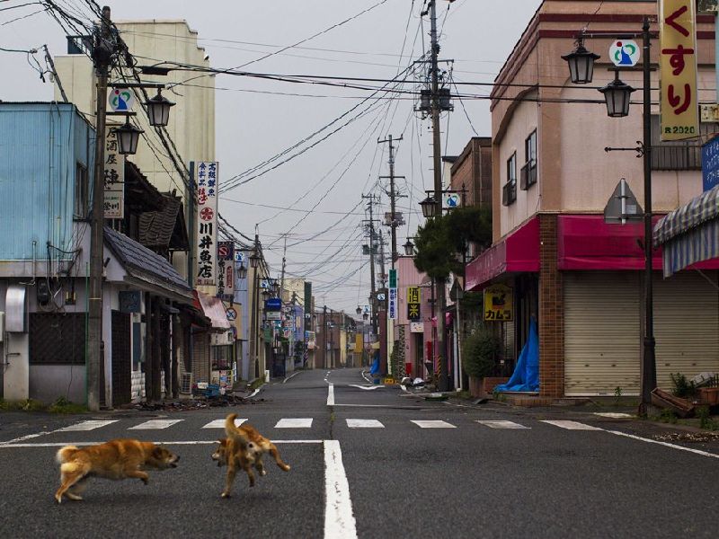 Today's Fukushima Exclusion Zone Is A Glimpse Into What A Post-Apocalyptic World Would Really Look Like